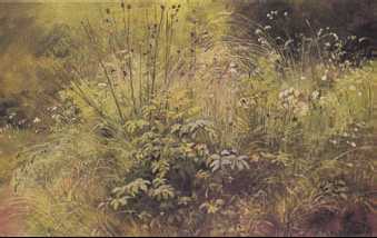 Энциклопедия «Искусство». Часть 4. Р-Я (с иллюстрациями) - i_1273.jpg