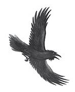 Все-все-все стихи и сказки для чтения в школе - i_011.jpg