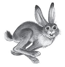 Все-все-все стихи и сказки для чтения в школе - i_016.jpg