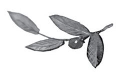 Все-все-все стихи и сказки для чтения в школе - i_037.jpg