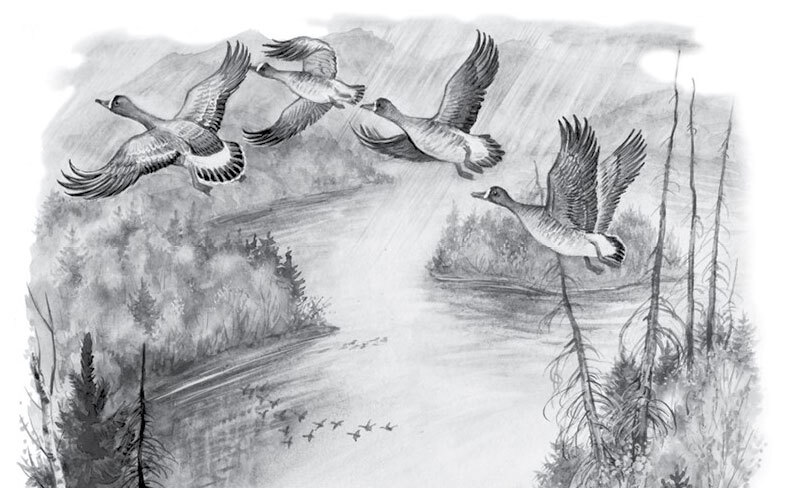 Все-все-все стихи и сказки для чтения в школе - i_040.jpg