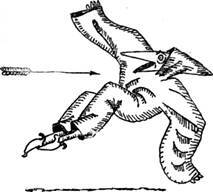 Кентерберийские рассказы - pic_28.jpg