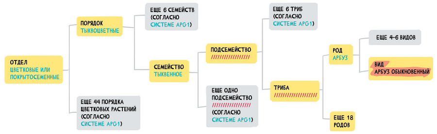 UX/UI дизайн для создания идеального продукта. Полный и исчерпывающий гид - i_025.png