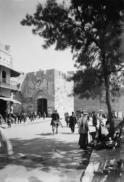 Палестина и Израиль. От начала XX века до 7 октября 2023 года - i_009.jpg