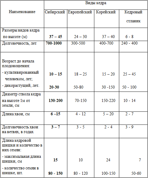 Кедровая плантация родового поместья - img_2.png