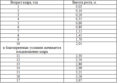 Кедровая плантация родового поместья - img_3.png