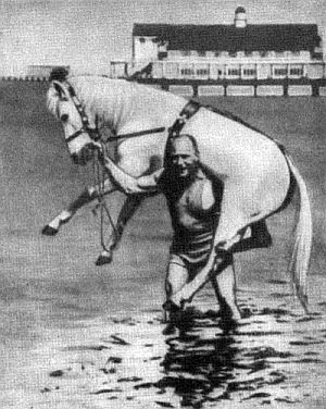 Тайна Железного Самсона - i_002.jpg