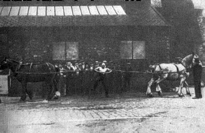 Тайна Железного Самсона - i_009.jpg