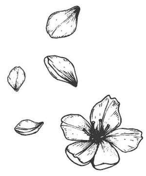 Вы мне нравитесь, взрослая женщина - i_003.jpg