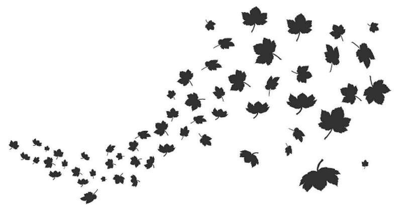 Вы мне нравитесь, взрослая женщина - i_004.jpg