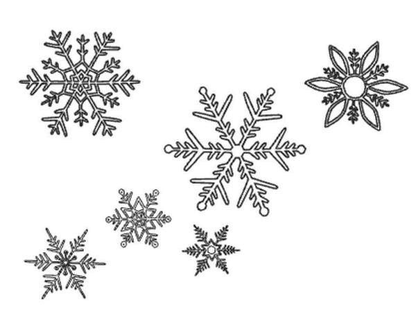 Вы мне нравитесь, взрослая женщина - i_007.jpg