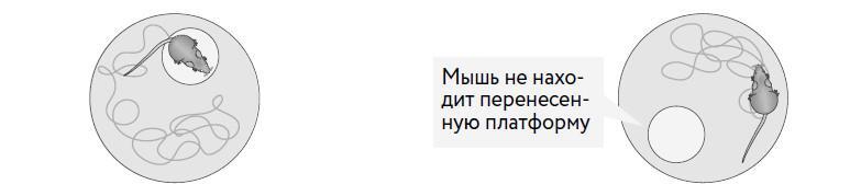 Компас ментального здоровья. 10 проверенных способов укрепить психику и изменить свою жизнь - i_006.jpg