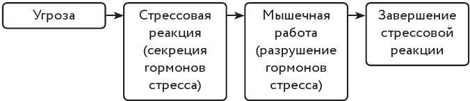 Преднамеренное спокойствие. Программа борьбы со стрессом и тревогой - i_003.jpg