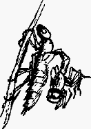 Волшебный браслет - i_037.png