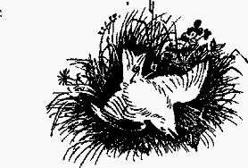 Волшебный браслет - i_066.png