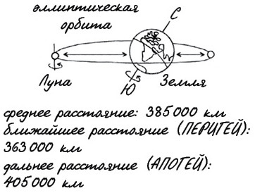 Могут ли числа быть вампирами? И ещё 320 вопросов о науке и технологиях - i_044.jpg