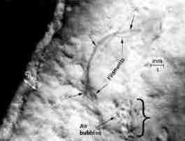 Империя – II - i210.jpg