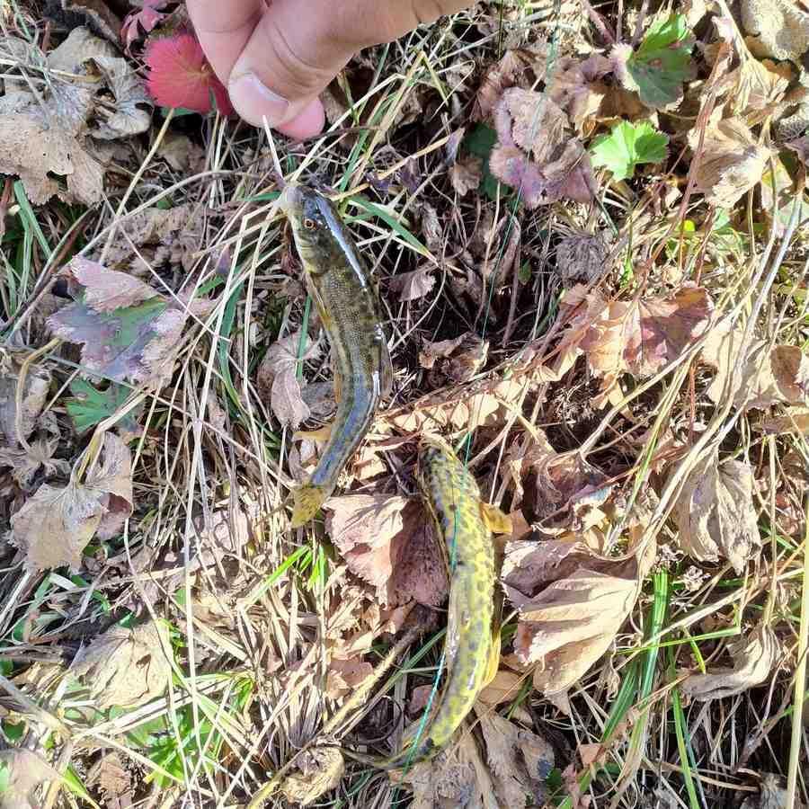 Кругосветка. Часть 1. Начало пути - _51.jpg