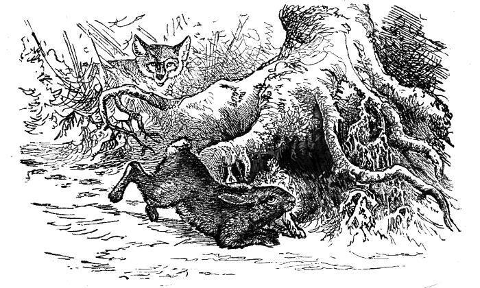 Светлячок - i_017.jpg