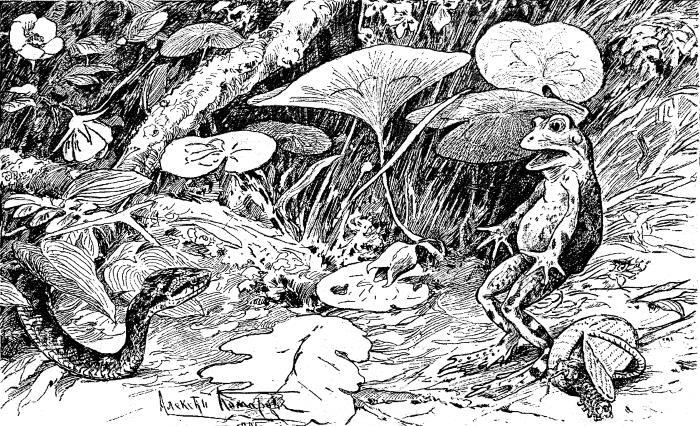 Светлячок - i_018.jpg