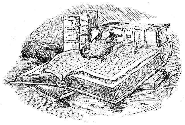 Светлячок - i_019.jpg