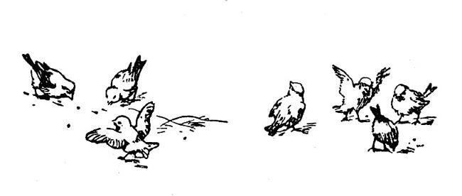 Светлячок - i_020.jpg