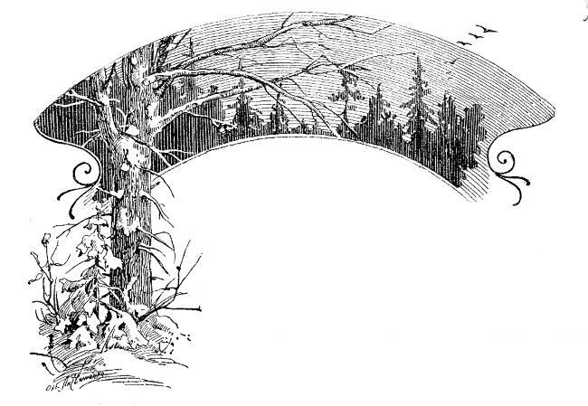 Светлячок - i_021.jpg