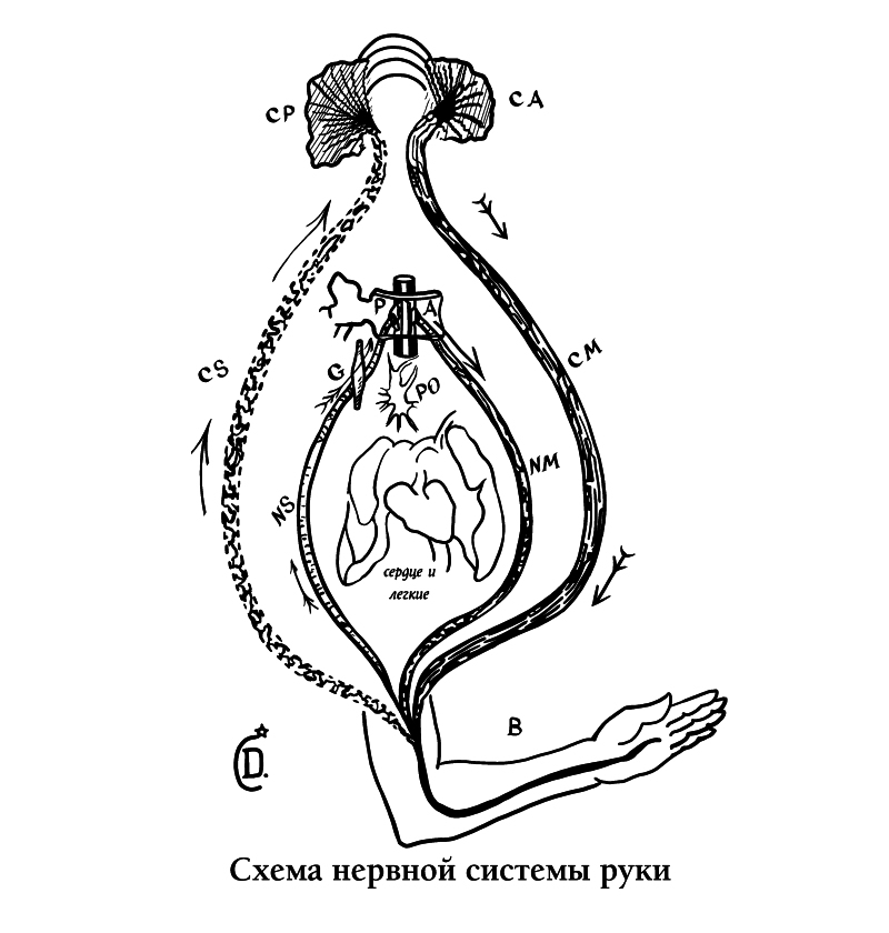 Практическая магия. Классический учебник - i_002.jpg