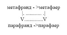 Сознание и голоса разума - _1.jpg