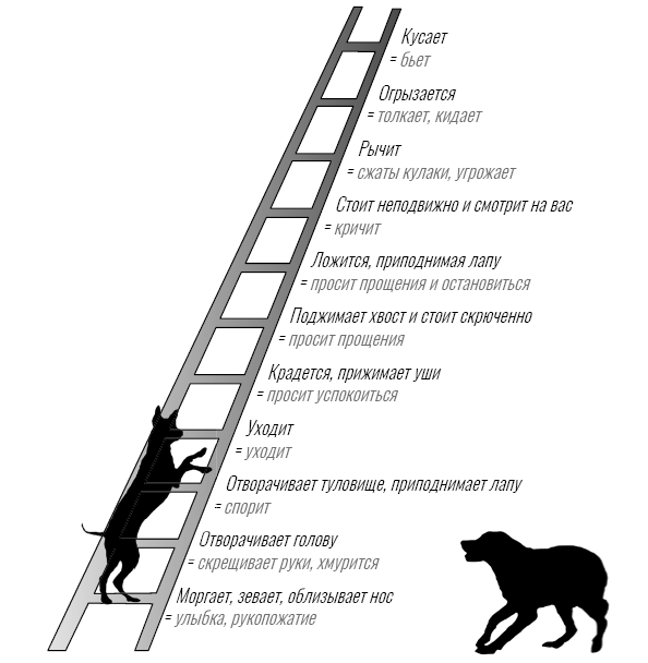 Путеводитель по агрессии собак - i_004.png