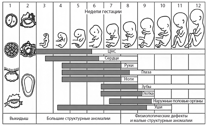 Здоровье ребенка от рождения до двух лет. Все, что нужно знать родителям об уходе за малышом - i_015.png