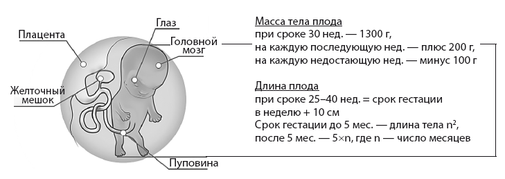 Здоровье ребенка от рождения до двух лет. Все, что нужно знать родителям об уходе за малышом - i_021.png