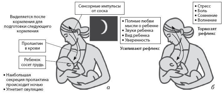 Здоровье ребенка от рождения до двух лет. Все, что нужно знать родителям об уходе за малышом - i_051.jpg