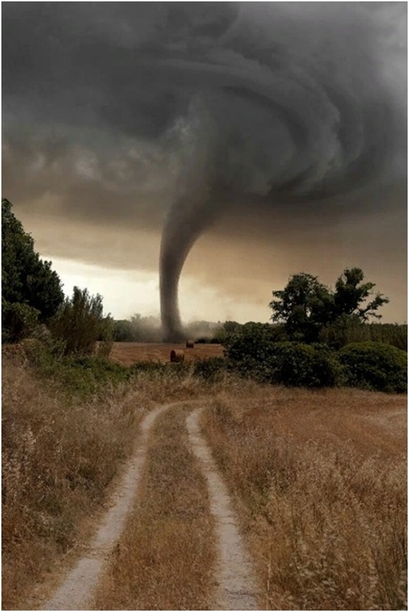 Муми-тролли и подводная фауна - _33.jpg