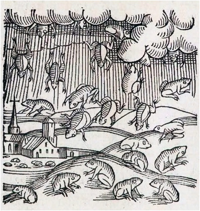 Муми-тролли и подводная фауна - _35.jpg