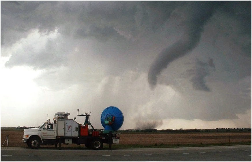 Муми-тролли и подводная фауна - _39.jpg