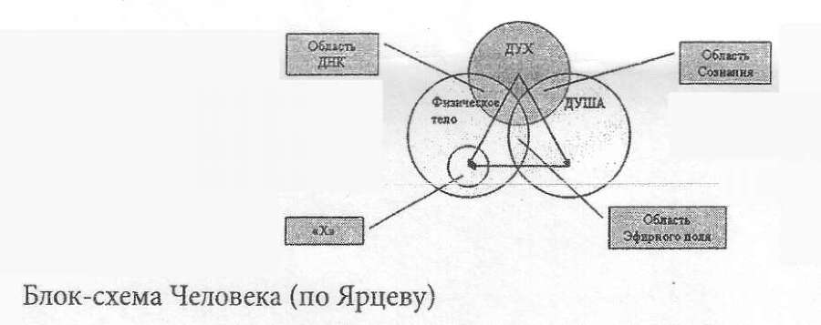 Человек и Вселенная - _50.jpg