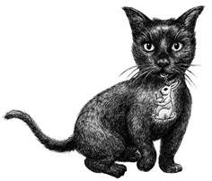 Книжный лес - i_003.jpg