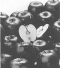 Свет и освещение - 041.jpg