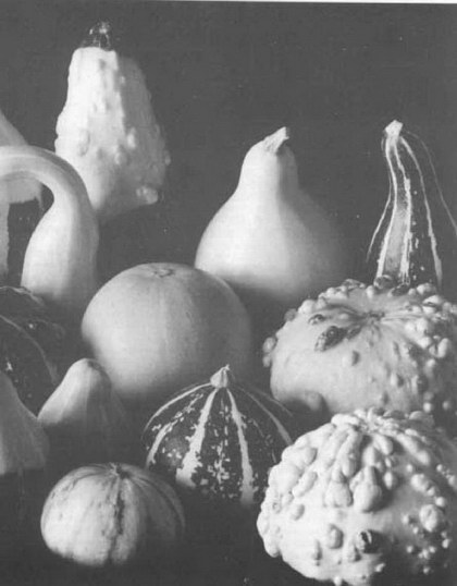 Свет и освещение - 106.jpg