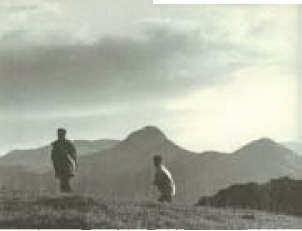 Свет и освещение - 015.jpg