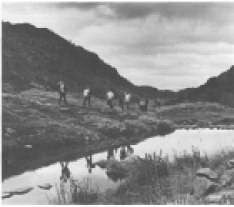 Свет и освещение - 039.jpg