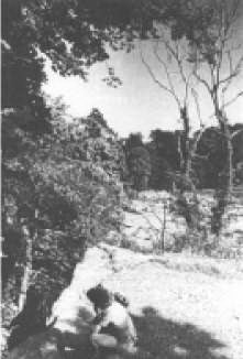 Свет и освещение - 044.jpg