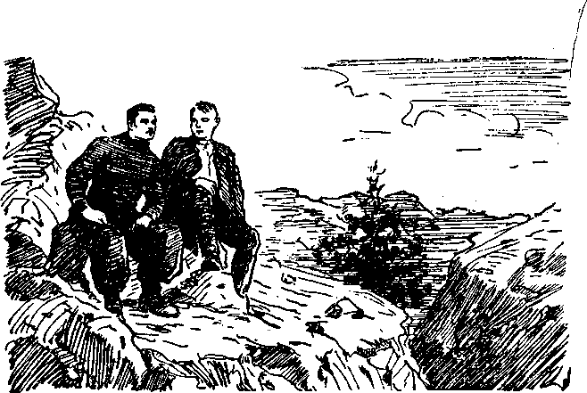 "Библиотечка военных приключений-2". Компиляция. Книги 1-22 (СИ) - i_019.png