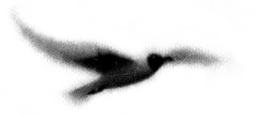 Диалог пятого среди трех из квартета - _0.jpg