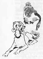 Рекся и Пуцек - img022.jpg