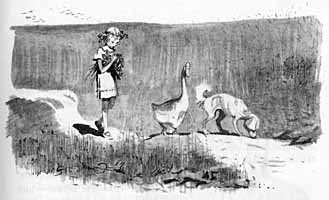 Рекся и Пуцек - img023.jpg