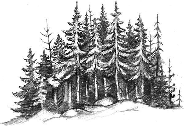 Карельские боги: за 300 лет до «Калевалы». Древний свод - i_005.jpg