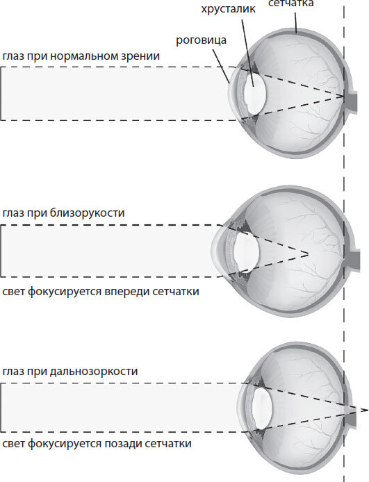 Поговорим о зрении. Всё о наших глазах - i_005.jpg