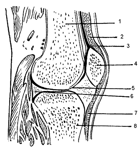 Массаж при артрите - _001.png